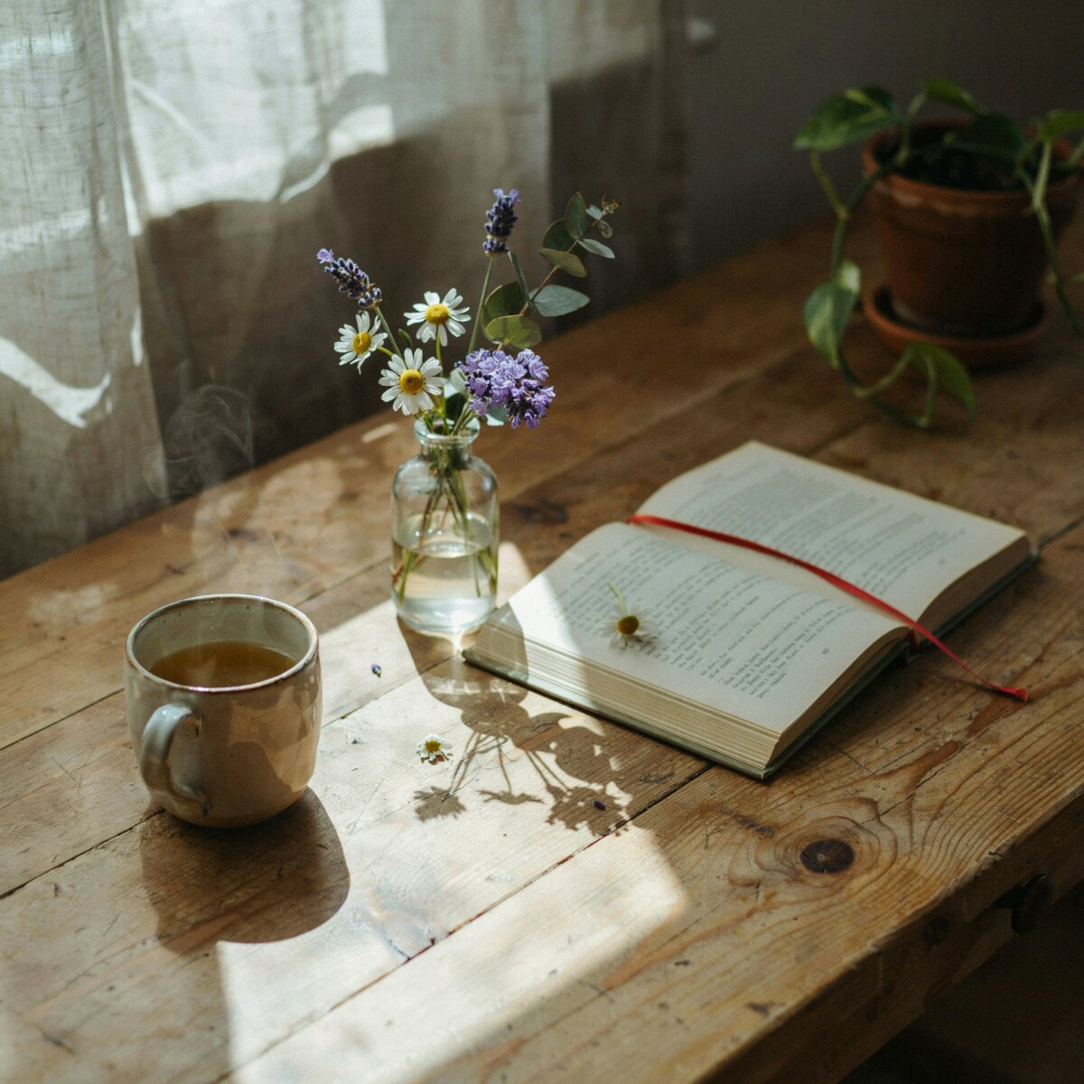 Cottagecore Color Palettes for a Dreamy, Countryside Aesthetic